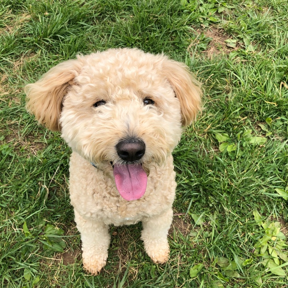 Meet your Posher, Elle